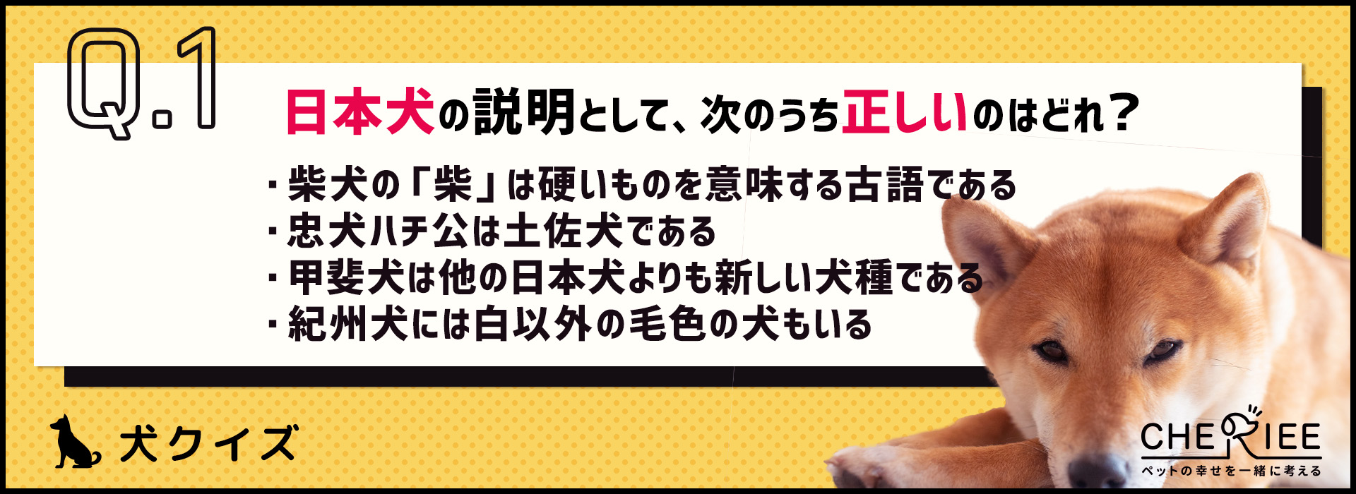 【クイズ】日本犬だけじゃない？！日本原産の犬たち