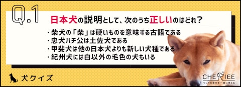 【クイズ】日本犬だけじゃない？！日本原産の犬たちのアイキャッチ画像