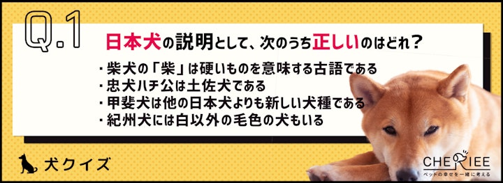 【クイズ】日本犬だけじゃない？！日本原産の犬たちのアイキャッチ画像