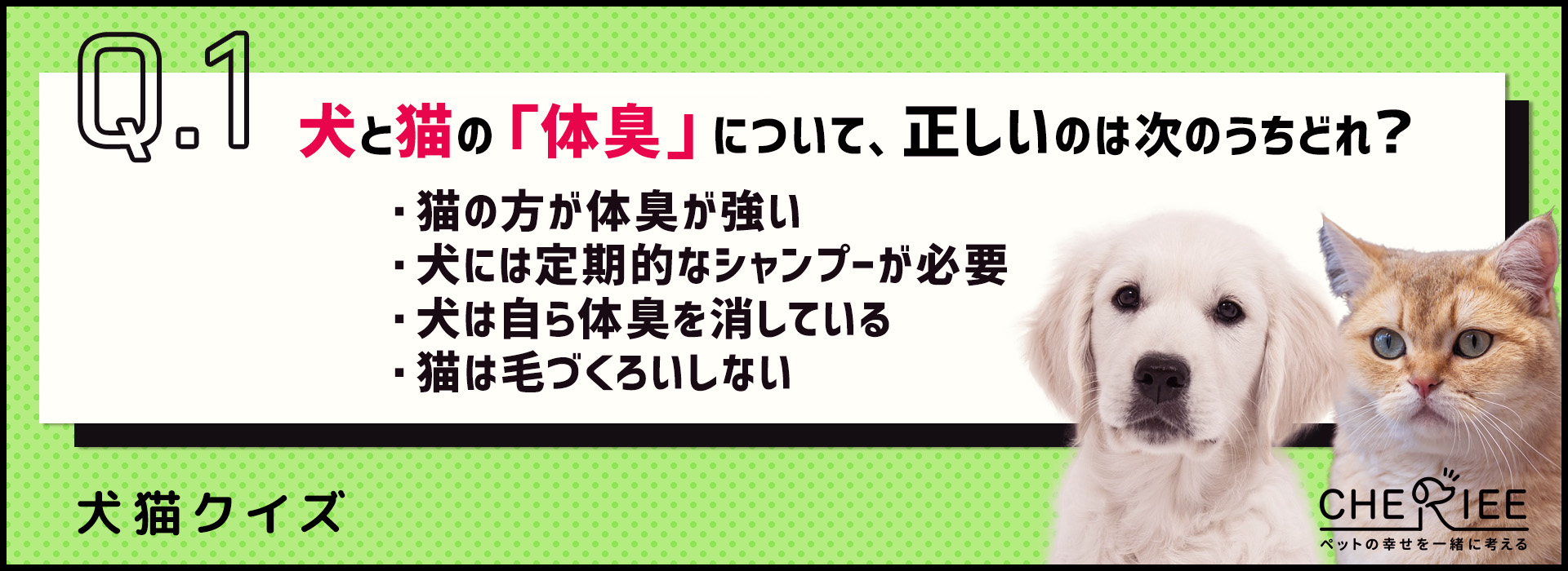 【クイズ】実は全然違う！？3つの観点から犬と猫の習性を比較