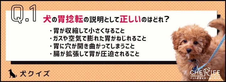 【クイズ】食後の犬の散歩は危険！胃捻転ってどんな病気？のアイキャッチ画像