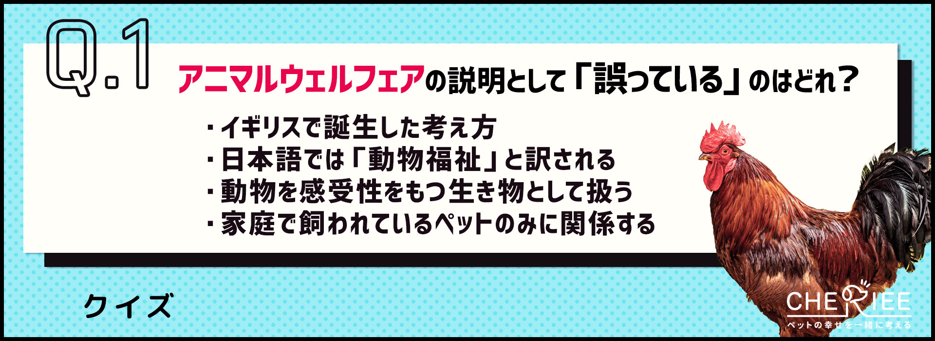 【クイズ】アニマルウェルフェアについてどれだけ知ってる？ CHERIEE あにまるマガジン