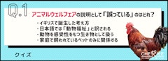 記事カテゴリ第2位