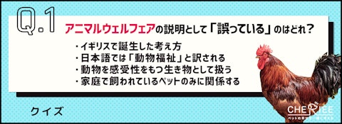 【クイズ】アニマルウェルフェアについてどれだけ知ってる？のアイキャッチ画像