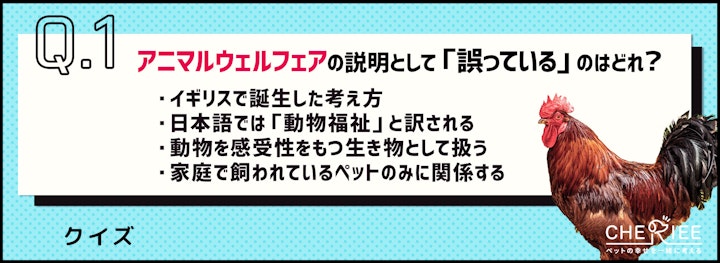 【クイズ】アニマルウェルフェアについてどれだけ知ってる？のアイキャッチ画像