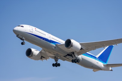 本当に預ける?ペットを飛行機に乗せる前に知っておきたいリスクのアイキャッチ画像