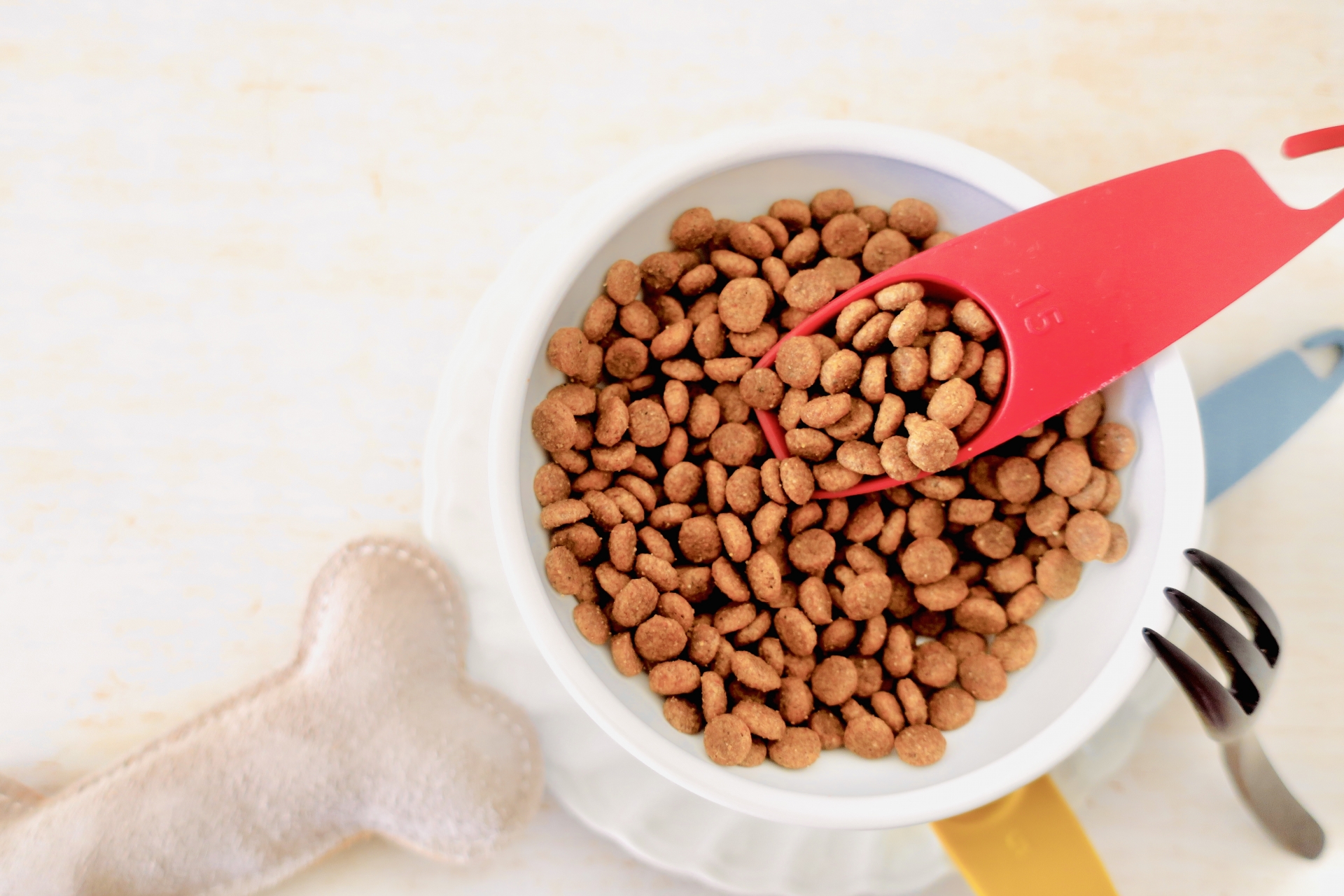 ペットフードの肉副産物・ミートミール・肉骨粉は悪いもの？