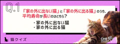 おすすめ記事1