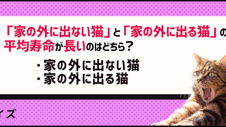 【クイズ】猫は室内飼育と屋外飼育のどっちがいいの?のアイキャッチ画像
