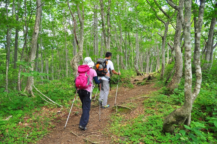 旅行,⽩⾺岩岳⼭頂,夏休み,犬同伴