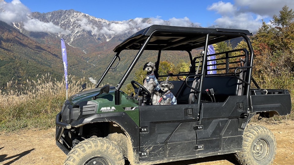 愛犬と旅する⽩⾺~ペットフレンドリーエリアへ進化中の⽩⾺岩岳~