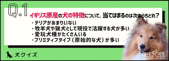 【クイズ】犬の歴史が深い国！イギリス原産の犬たちのアイキャッチ画像