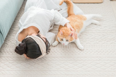 猫が嫌がる飼い主さんのNG行動！仲良く暮らすために知っておこうのアイキャッチ画像