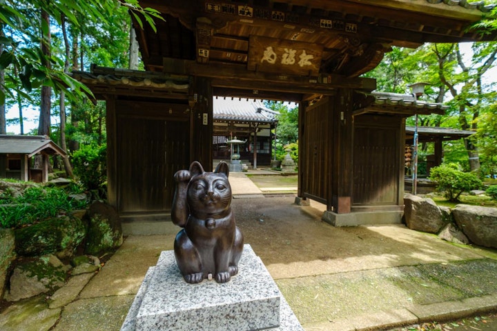 招き猫,招き猫スポット,猫,縁起物,豪徳寺,起源,開運