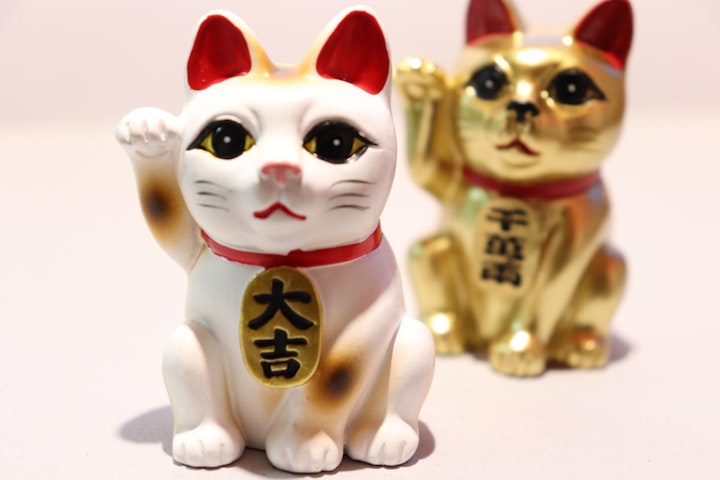 招き猫,招き猫スポット,猫,縁起物,豪徳寺,起源,開運