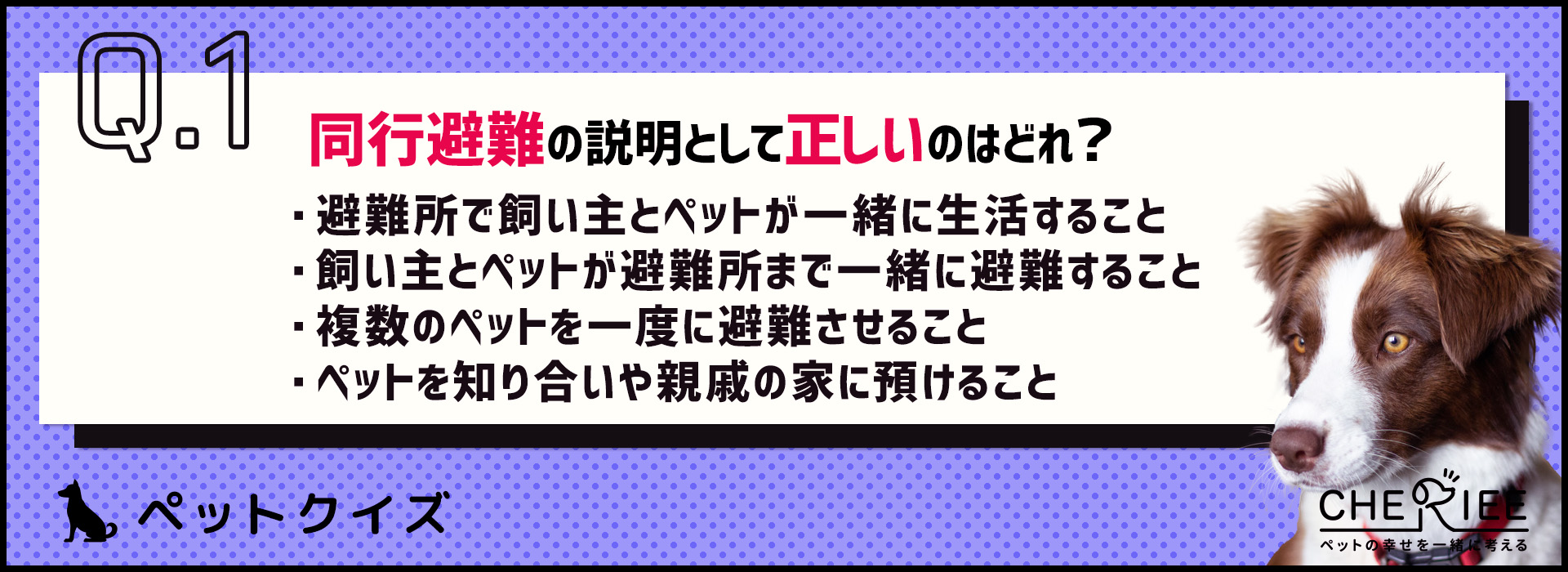 【クイズ】災害が起こっても焦らないために準備しておくべきこととは