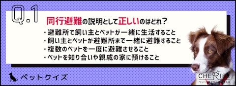 【クイズ】災害が起こっても焦らないために準備しておくべきこととはのアイキャッチ画像