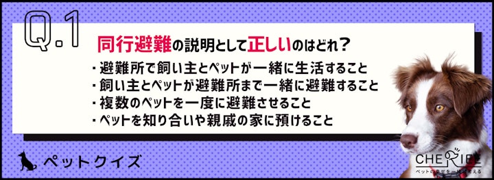 【クイズ】災害が起こっても焦らないために準備しておくべきこととはのアイキャッチ画像