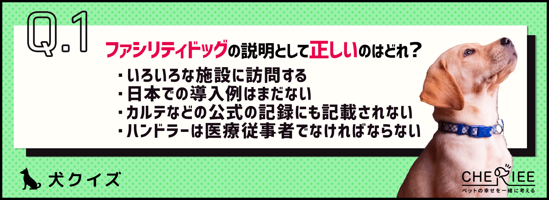 【クイズ】ファシリティドッグって知ってる？その活動と今後の課題