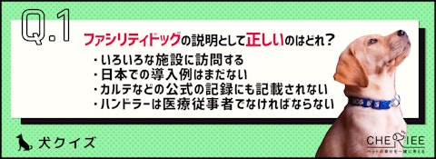 【クイズ】ファシリティドッグって知ってる？その活動と今後の課題のアイキャッチ画像