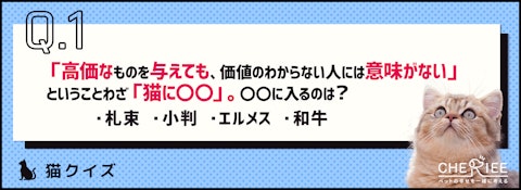 【クイズ】猫のことわざ穴埋めクイズ！のアイキャッチ画像