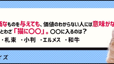 【クイズ】猫のことわざ穴埋めクイズ!のアイキャッチ画像