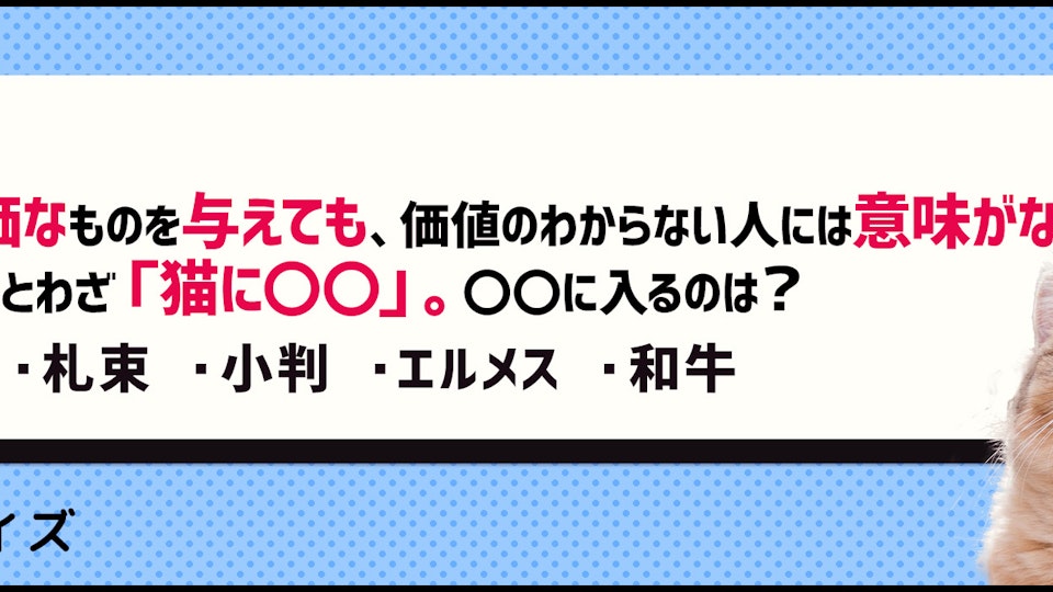 【クイズ】猫のことわざ穴埋めクイズ!