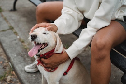 あの偉人も犬を溺愛していた！愛犬家だった4人の歴史上の人物のアイキャッチ画像