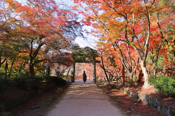 愛犬家なら行ってみたい！犬にまつわる神社・仏閣7選【東日本編】のアイキャッチ画像