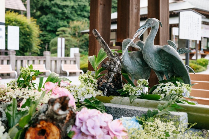 おすすめ,おでかけ,お寺,仏閣,山犬,旅行,歴史,犬,神社,白鷺神社