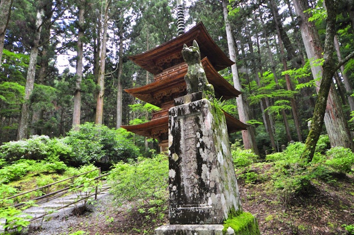 おすすめ,おでかけ,お寺,仏閣,山犬,旅行,歴史,犬,神社,光前寺