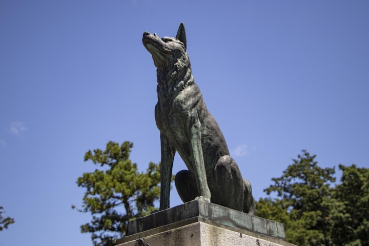 おすすめ,おでかけ,お寺,仏閣,山犬,旅行,歴史,犬,神社,見付天神,矢奈比賣神社