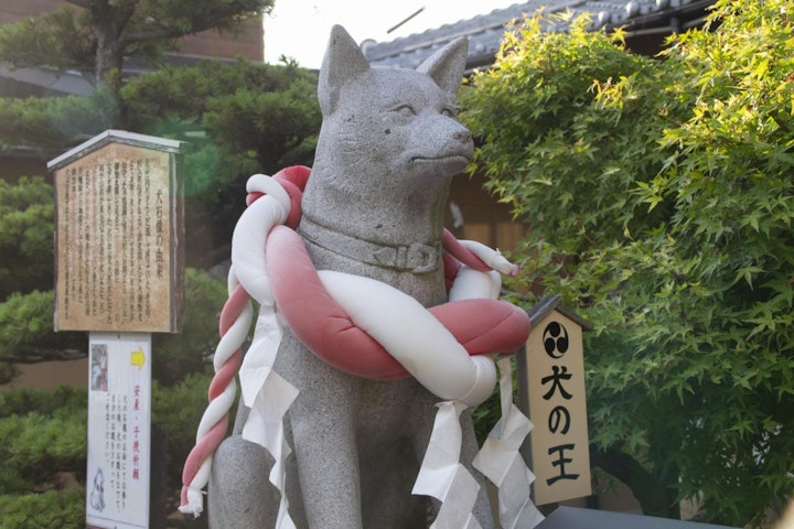 おすすめ,おでかけ,お寺,仏閣,山犬,旅行,歴史,犬,神社,伊奴神社