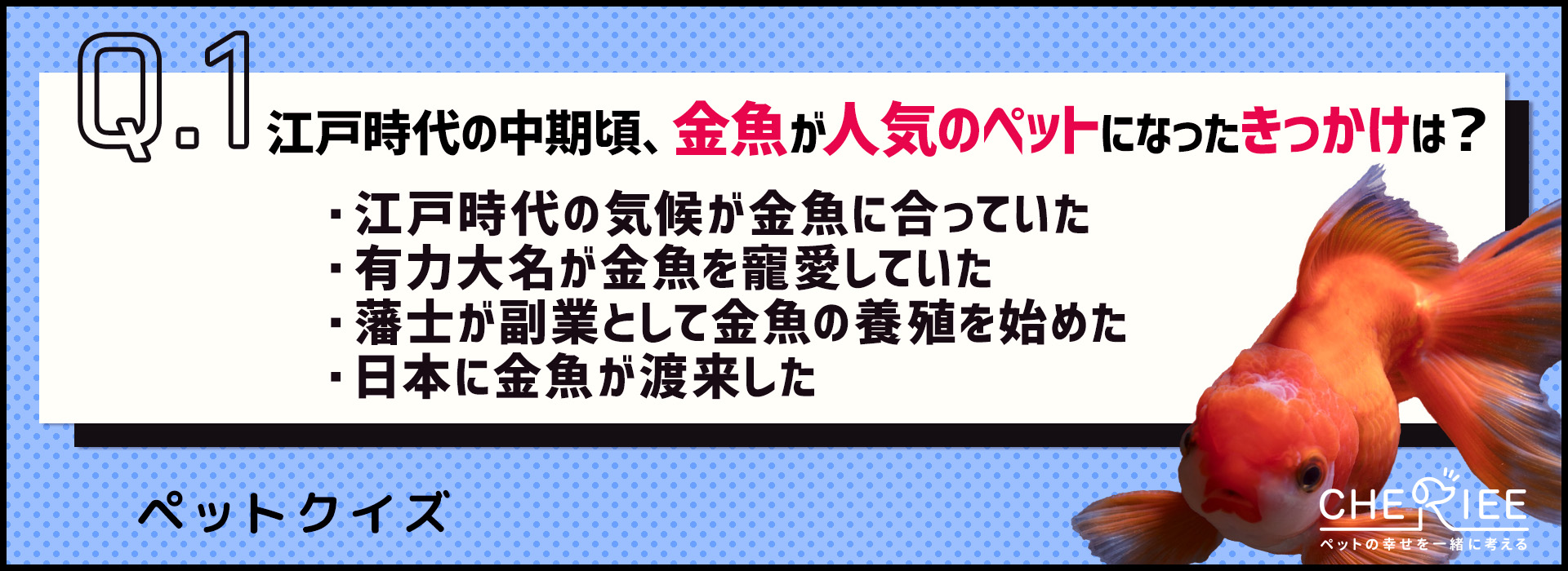 【クイズ】江戸時代は金魚が人気？！日本のペットの歴史を学ぶ