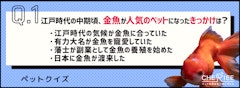 記事カテゴリ第5位