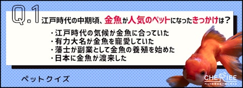 【クイズ】江戸時代は金魚が人気?!日本のペットの歴史を学ぶのアイキャッチ画像
