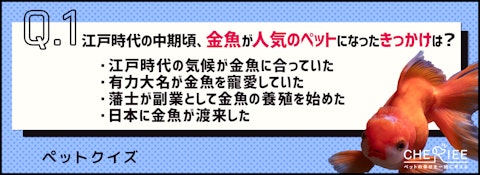 【クイズ】江戸時代は金魚が人気？！日本のペットの歴史を学ぶのアイキャッチ画像