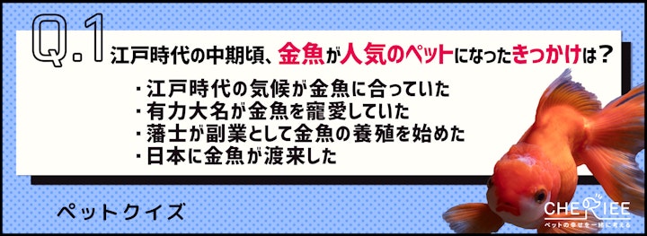 【クイズ】江戸時代は金魚が人気？！日本のペットの歴史を学ぶのアイキャッチ画像