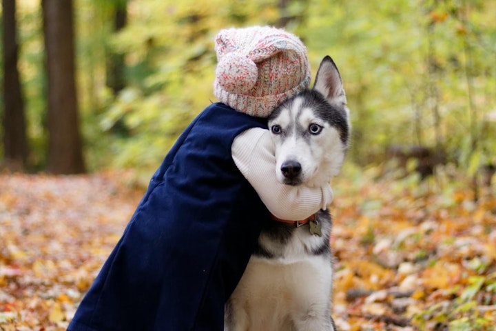 うさぎ,カード,スマホ,ペット,事故,家にペットがいます,情報,災害,犬,猫,緊急時