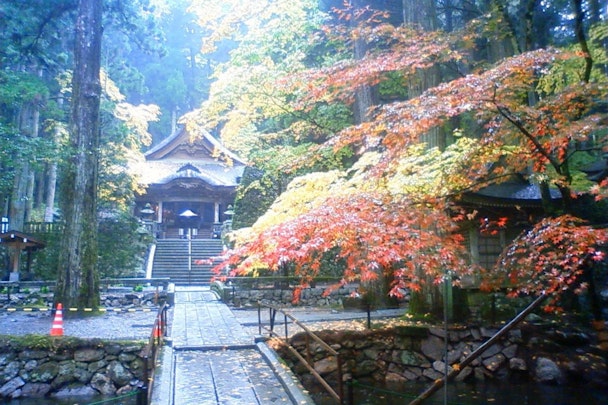 【犬旅】伝説の犬を祀る「光前寺」とその周辺スポットへ！南信州の旅のアイキャッチ画像