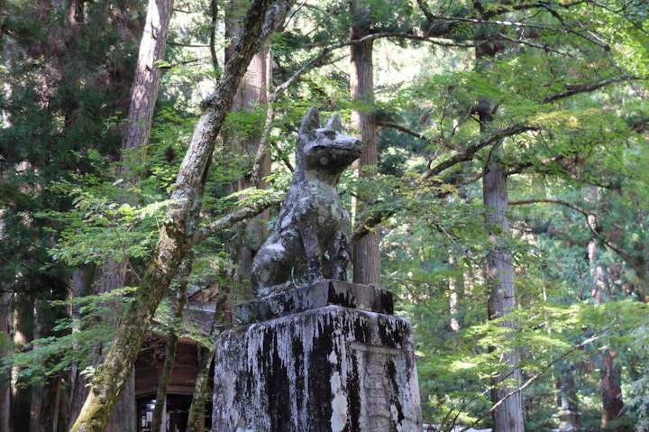 おでかけ,お寺,くらすわ,伝説の犬,光前寺,早太郎,犬,犬旅,霊犬,駒ケ岳SA