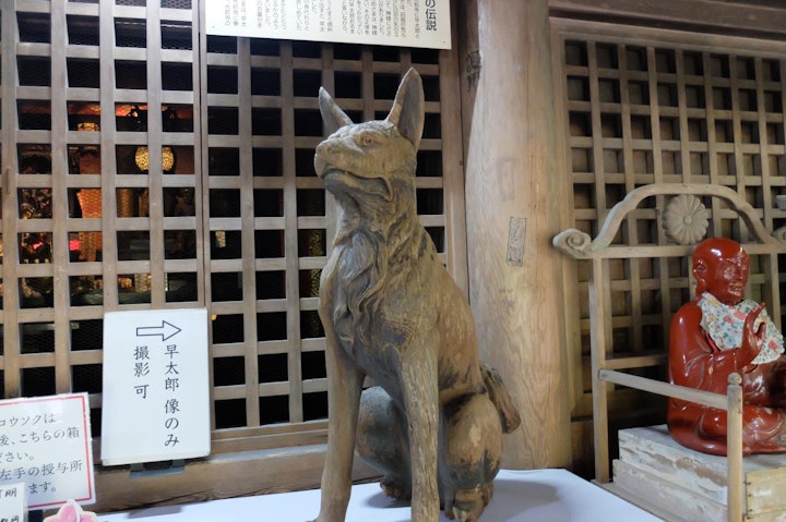 おでかけ,お寺,くらすわ,伝説の犬,光前寺,早太郎,犬,犬旅,霊犬,駒ケ岳SA