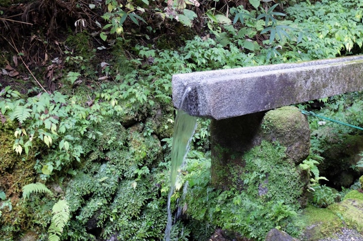 おでかけ,お寺,くらすわ,伝説の犬,光前寺,早太郎,犬,犬旅,霊犬,駒ケ岳SA