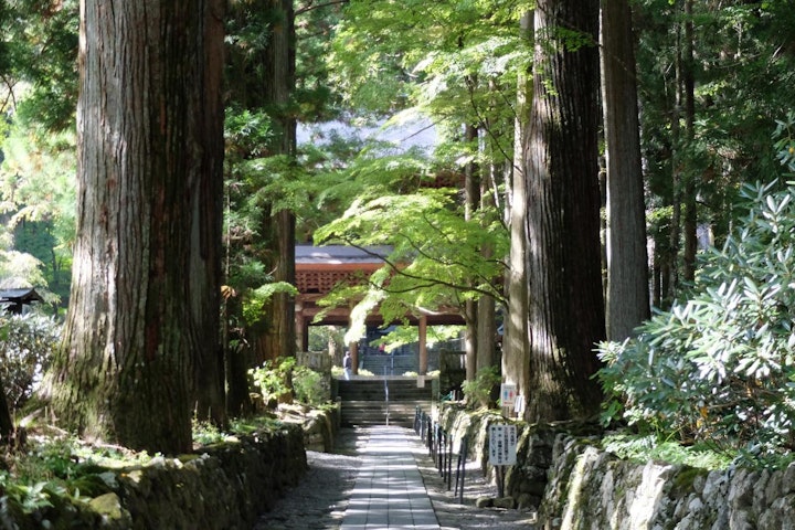 おでかけ,お寺,くらすわ,伝説の犬,光前寺,早太郎,犬,犬旅,霊犬,駒ケ岳SA