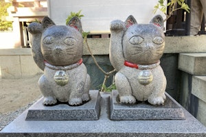 おでかけ,お寺,東日本,猫,神社,旅行