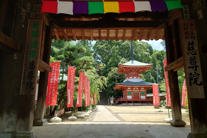 おすすめ,おでかけ,お寺,仏閣,犬,旅行,歴史,犬,神社,慈尊院