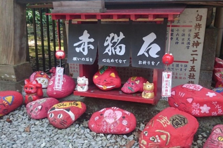 おでかけ,お寺,旅行,西日本,猫,神社