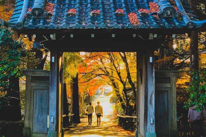 おでかけ,お寺,旅行,西日本,猫,神社