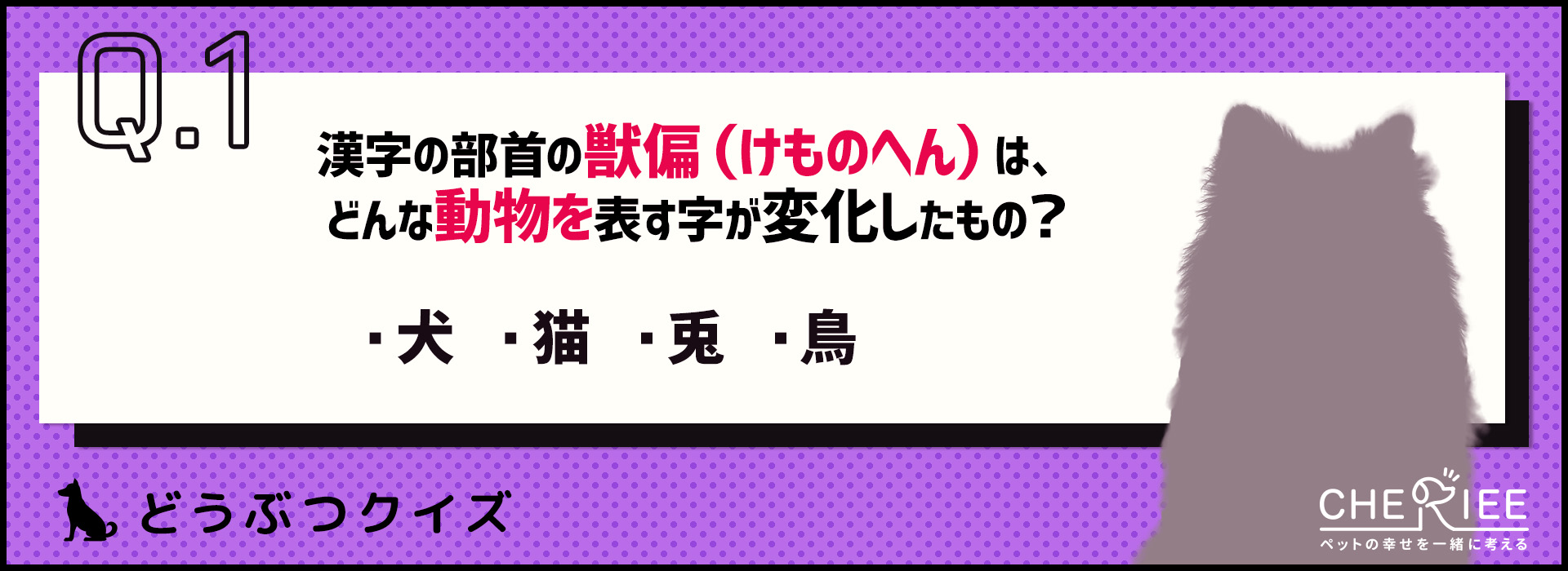 【クイズ】全問正解できるかも？動物に由来する雑学