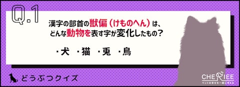 【クイズ】全問正解できるかも？動物に由来する雑学のアイキャッチ画像